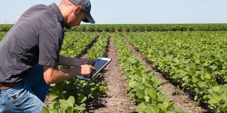 Benefits of ERP for Agriculture