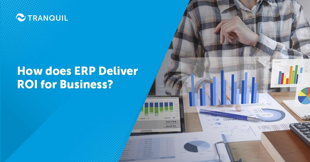 How Does ERP Deliver ROI for Business?