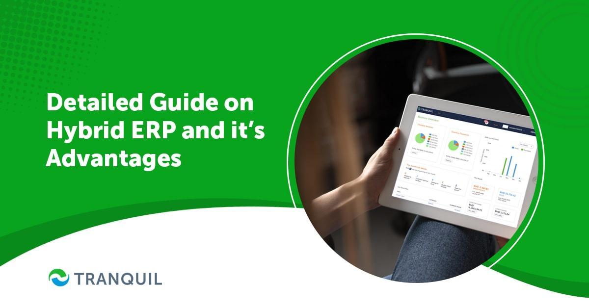 Detailed Guide on Hybrid ERP and it’s Advantages
