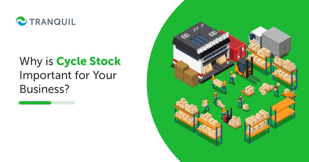 Why is Cycle Stock Important for Your Business?