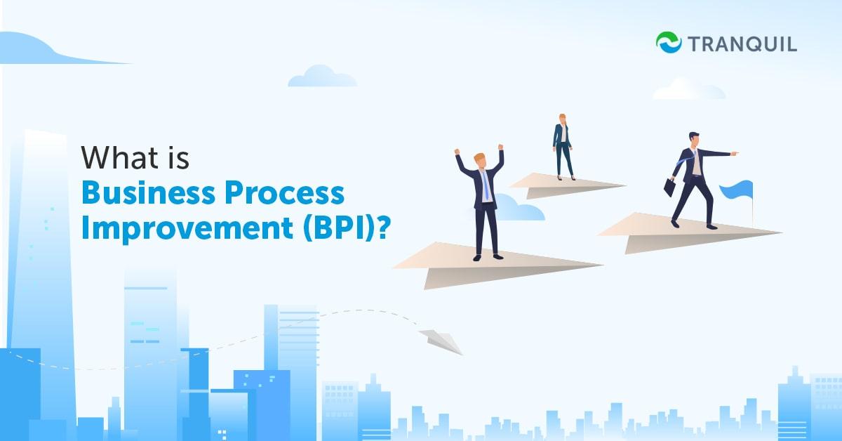 What is Business Process Improvement (BPI)?