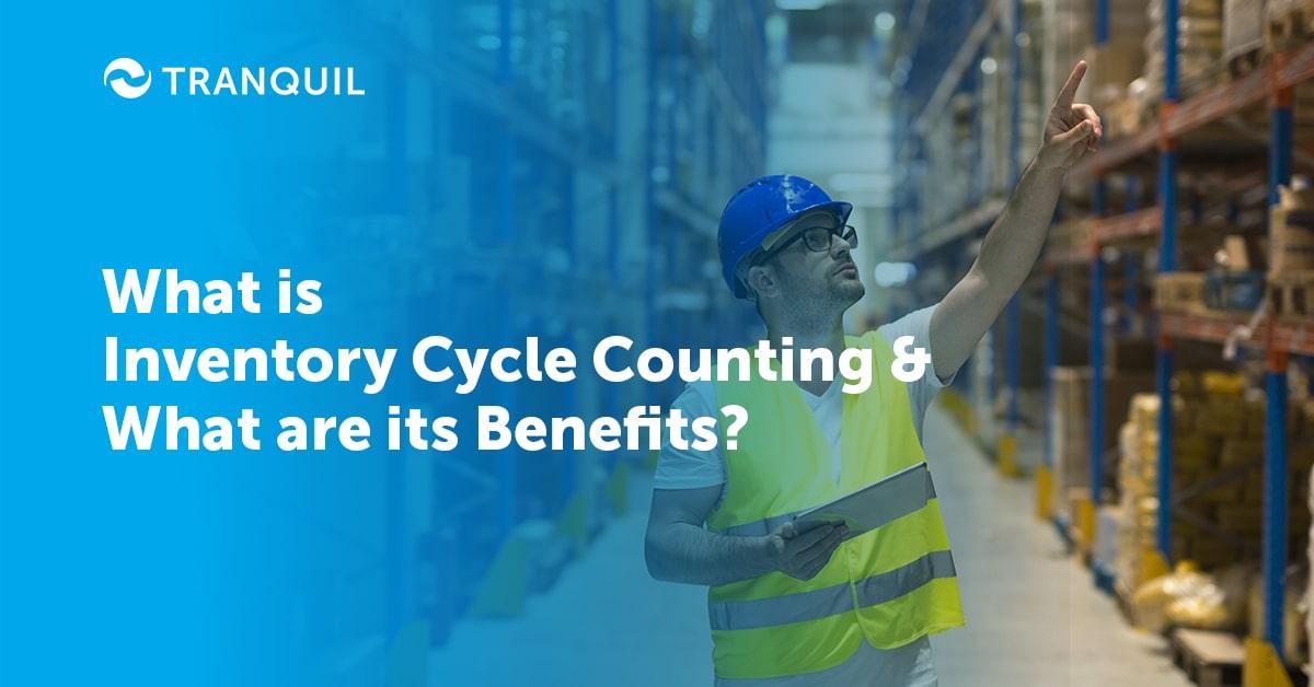 What is Inventory Cycle Counting and What are its Benefits?
