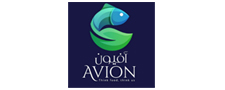 Avion Trading Company